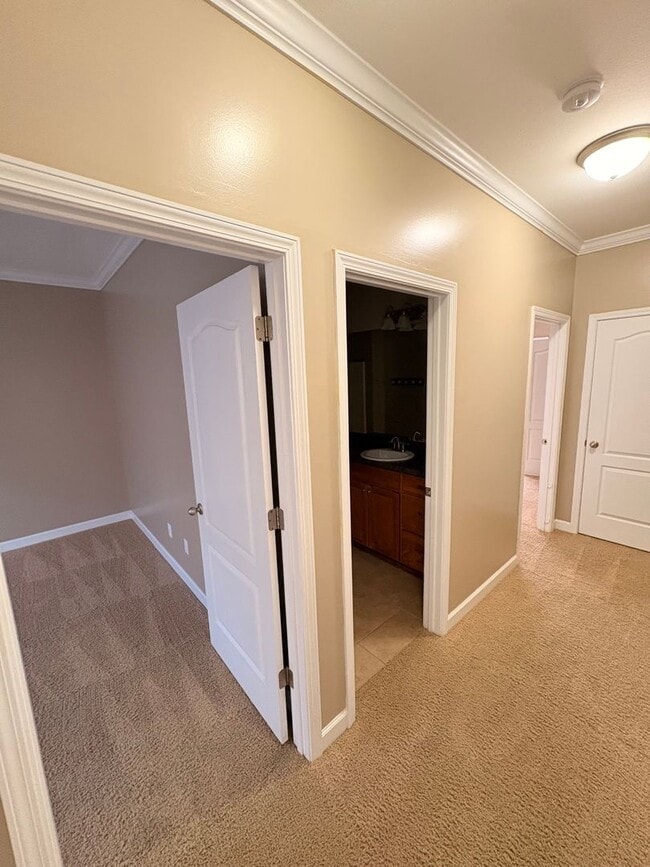 Building Photo - 102 Timber Hill Ct