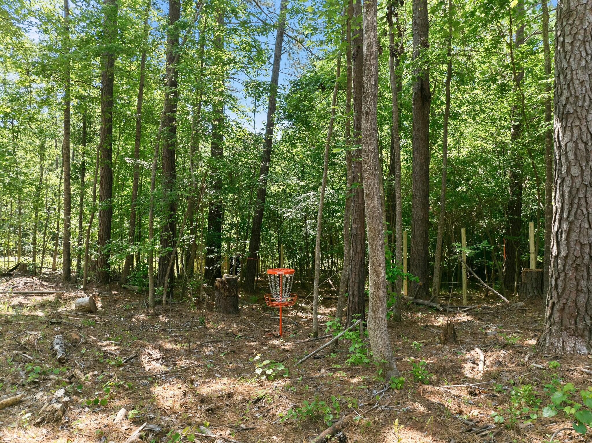 Disc Golf Course - 183 Crooked Creek Bay Rd
