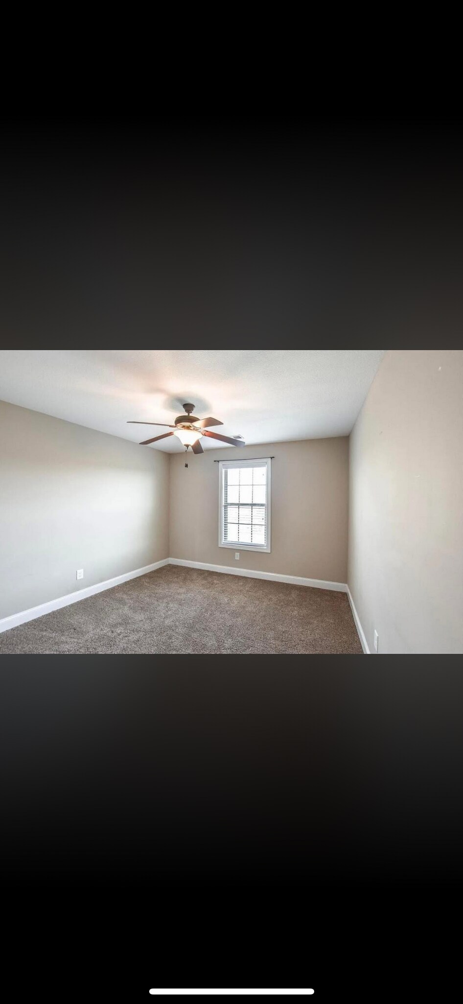 Building Photo - 812 Carousel Ct