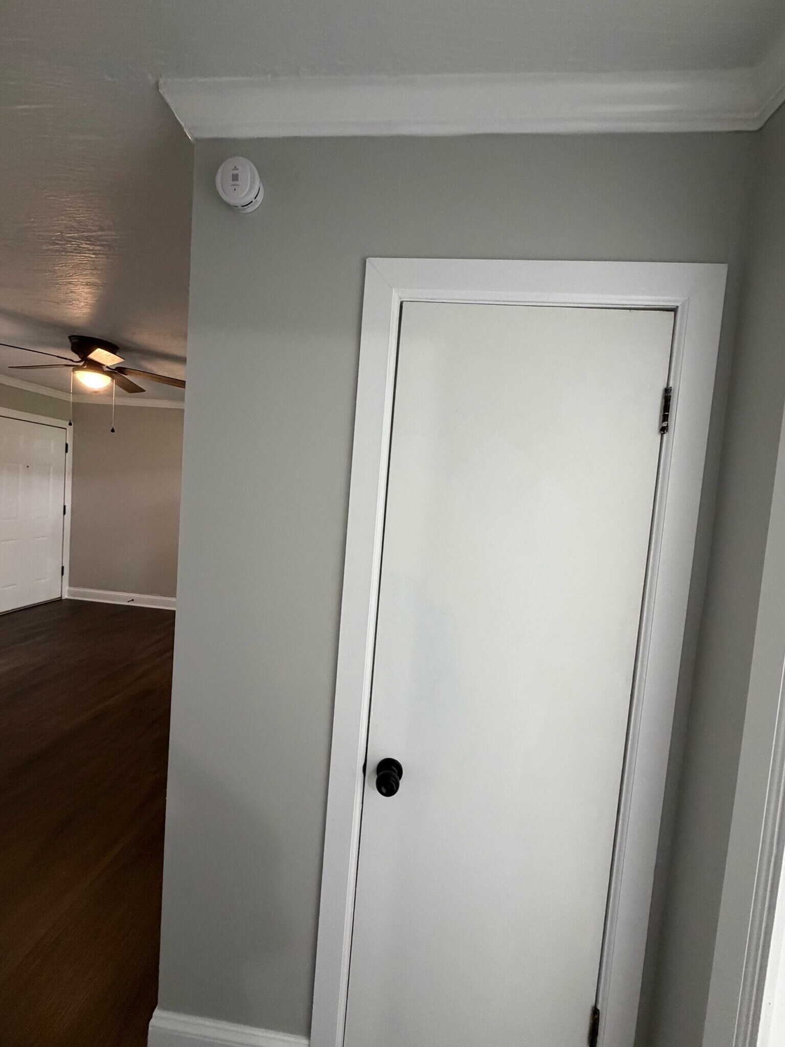 Building Photo - 5618 Madonna Cir