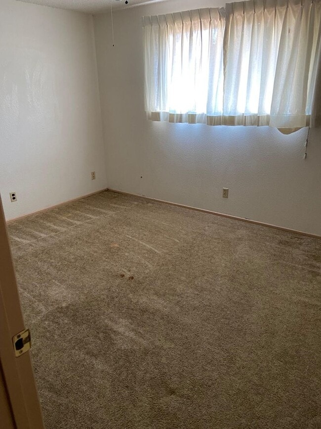 Building Photo - Springfield House