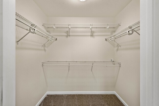 Primary bedroom walk-in closet - 74 Nicholas Dr