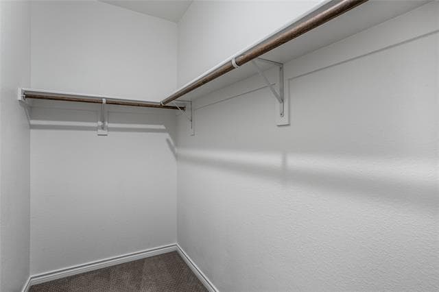 Building Photo - 203 Athenia Dr