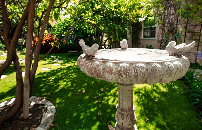 Bird Bath - 848 17th St