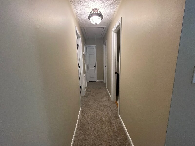 Building Photo - 103 Rocky Dr