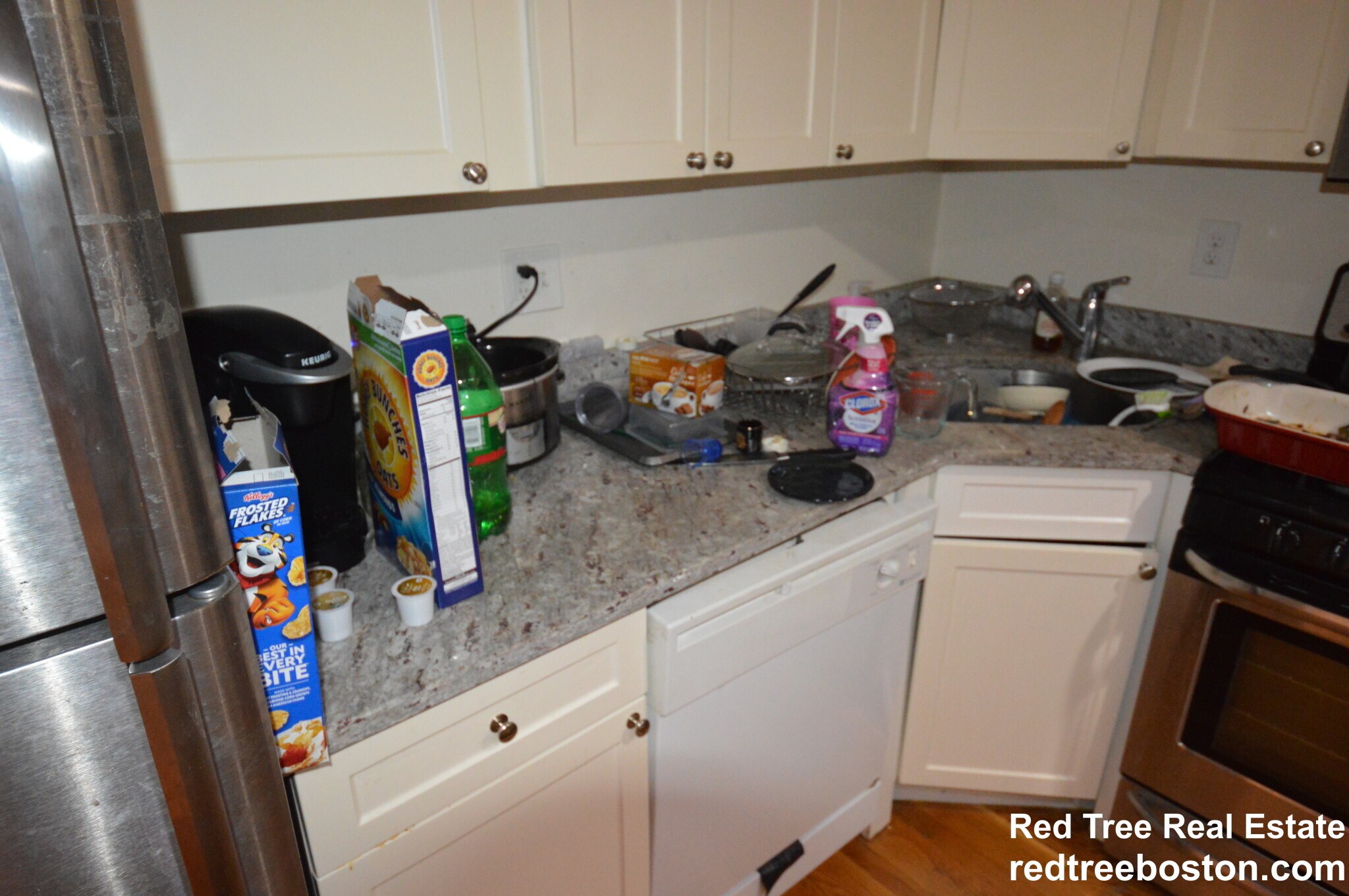 Building Photo - 62 Egmont St