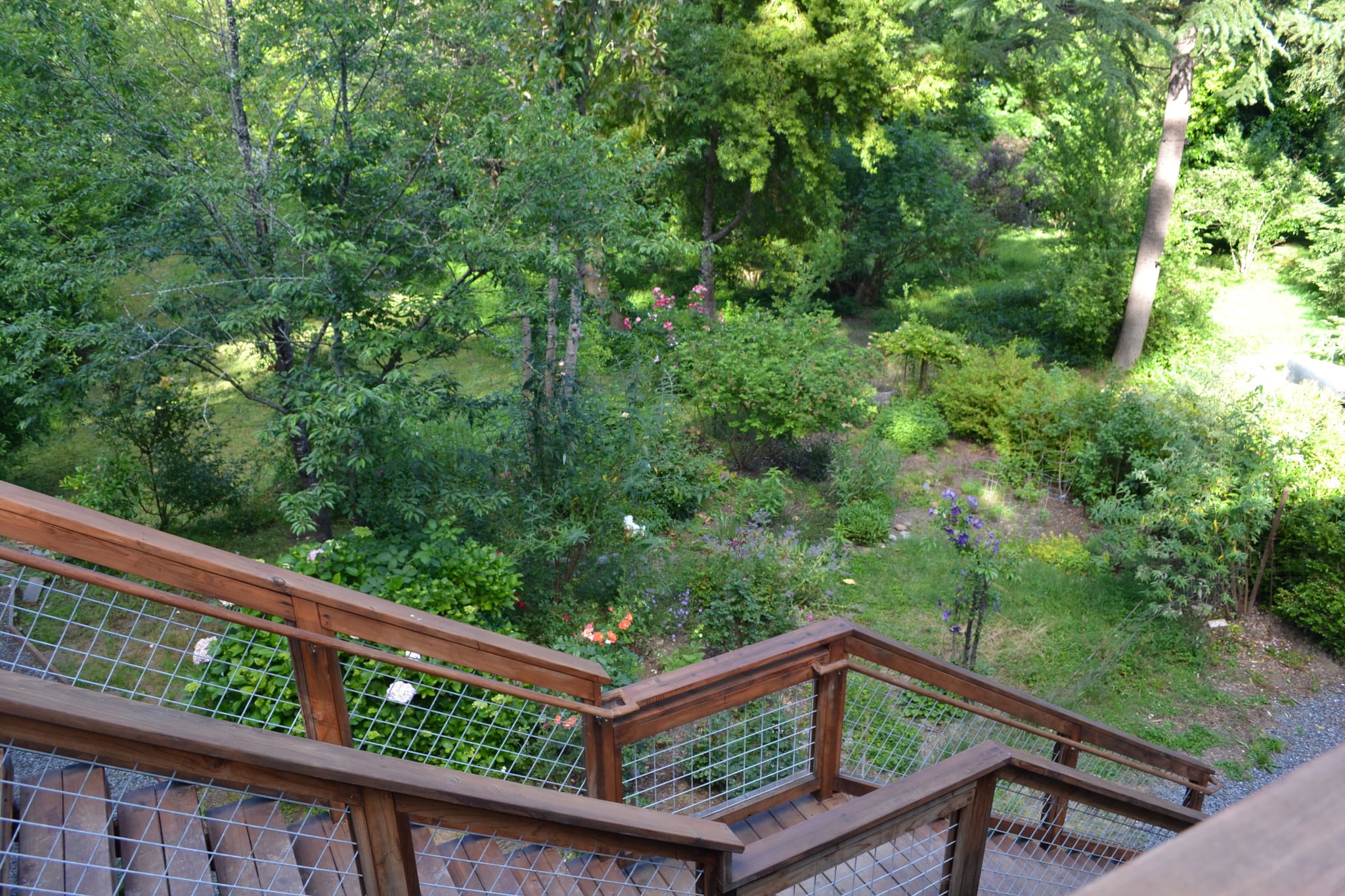 Stairs up to cottages - 9870 River Rd