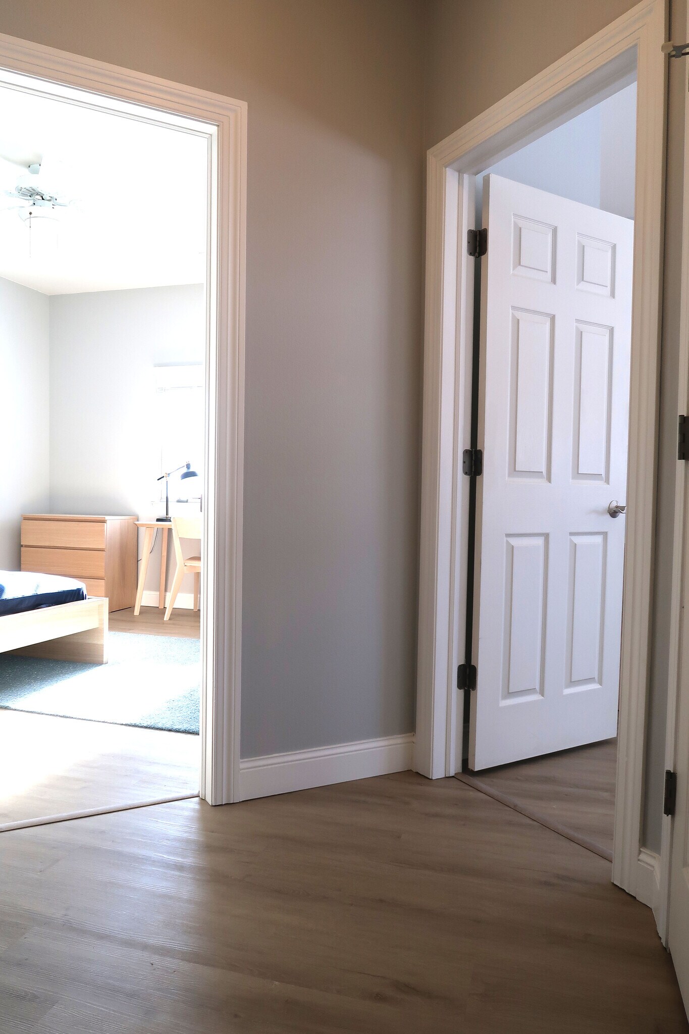 Hallway - 461 N 1st Ave