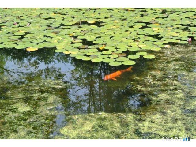 Building Photo - 38 Strawberry Ridge Rd