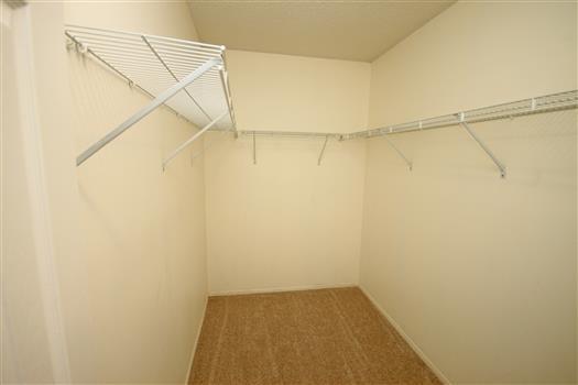 Building Photo - 1001 Black Willow Dr