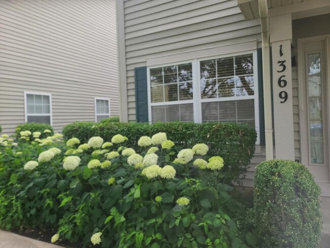 Building Photo - 1369 Orleans Dr