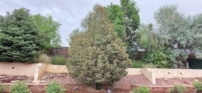 Building Photo - Stunning 4-bedroom, 2.5-bathroom home near...
