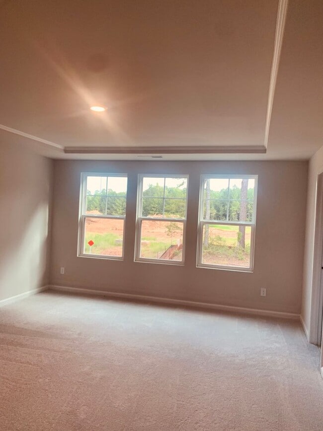 Building Photo - BRAND NEW TOWNHOME! 2 CAR GARAGE. SCREENED IN PORCH. MODERN KITCHEN. OPEN CONCEPT LIVING. BONUS ROOM