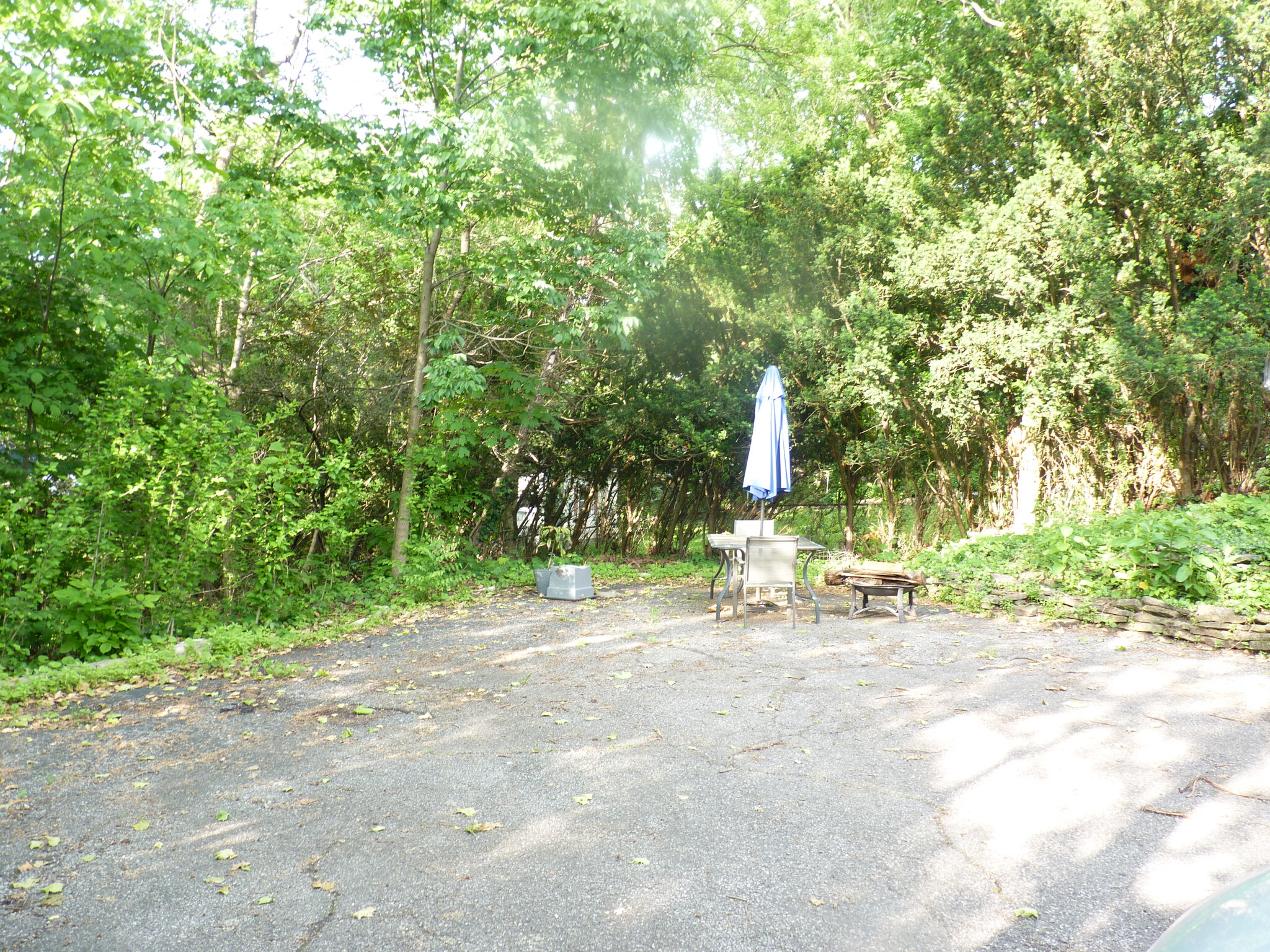 Back of property - 156 Parkview Ave