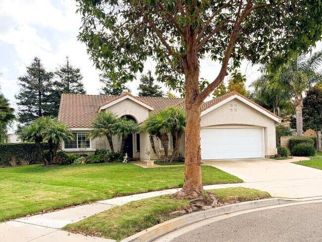 Building Photo - 2300 Bayhill Ct