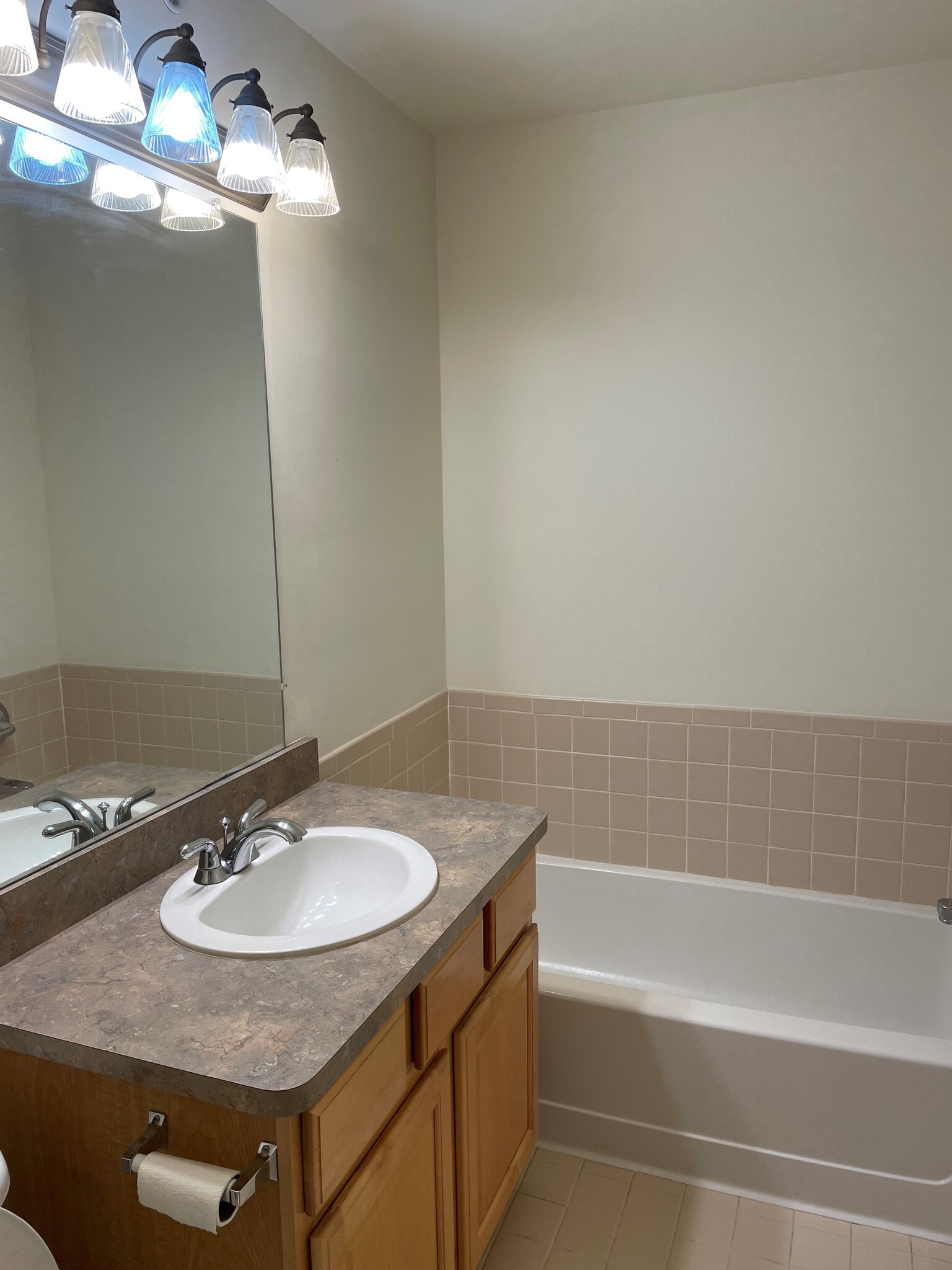 Master Bedroom Bathroom Tub - 1407 Ashford Ct