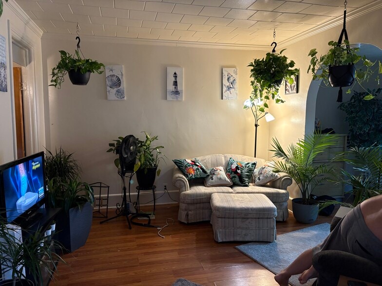 Primary Photo - 81 Cameron St