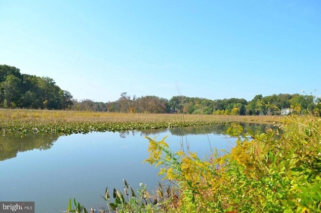 Building Photo - 8259 Clifton Farm Ct