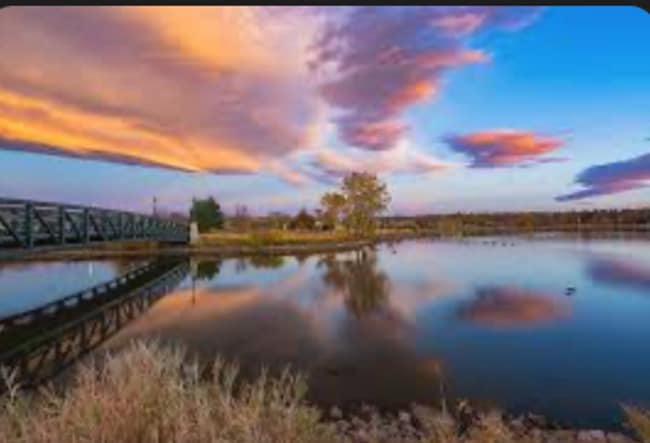 Building Photo - 1632 Quitman St