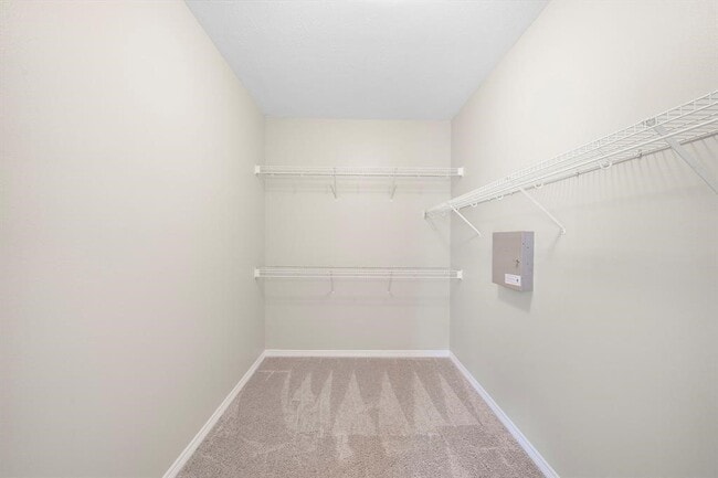 Building Photo - 4016 Candle Cove Ct
