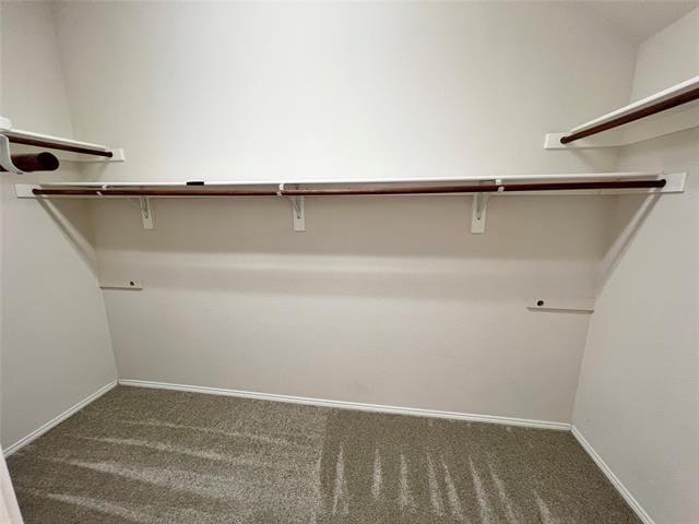 Building Photo - 5504 Eagle River Dr