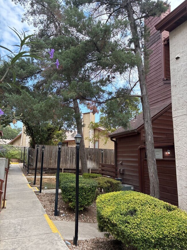 Building Photo - 1BR/1.5BA w/ Fireplace • Balcony • Pool Access in San Antonio