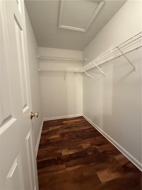 Building Photo - 3284 Saddlegate Ct