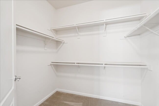 Building Photo - 312 Lone Spur Dr