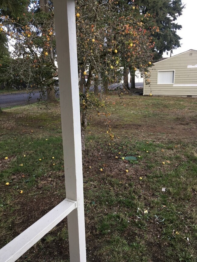 Building Photo - Tacoma/ Parkland duplex 2bdr 1 bath