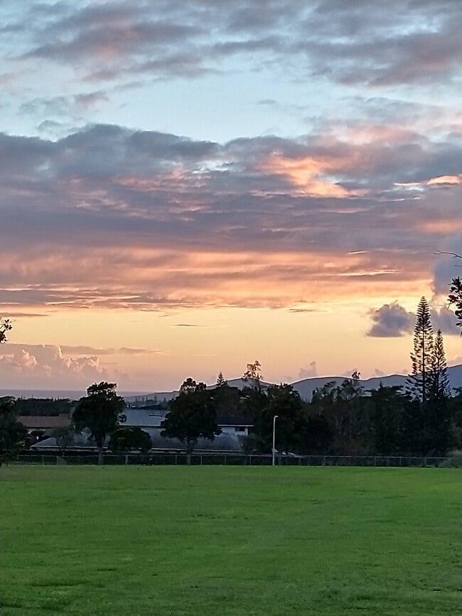Building Photo - 95-1025 Aahu St