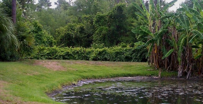 Building Photo - Beautiful  Furnished 1/1 condo x Rent  in Winter Park Next to Full Sail University !
