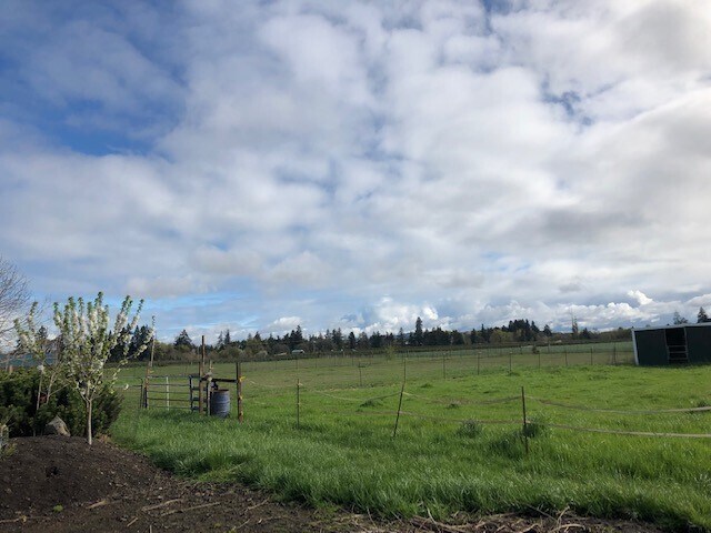 Building Photo - Newly Renovated 3 bed, 1.5 bath on Acreage...