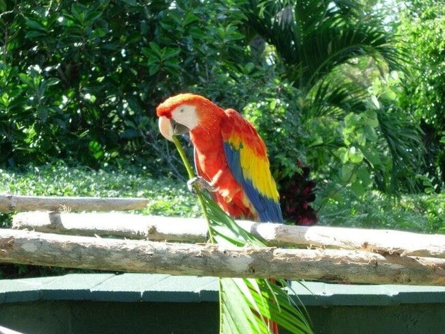 Building Photo - 336 Golfview Rd