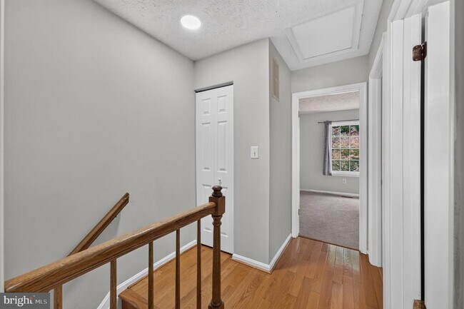 Building Photo - 1152 Southern Night Ln