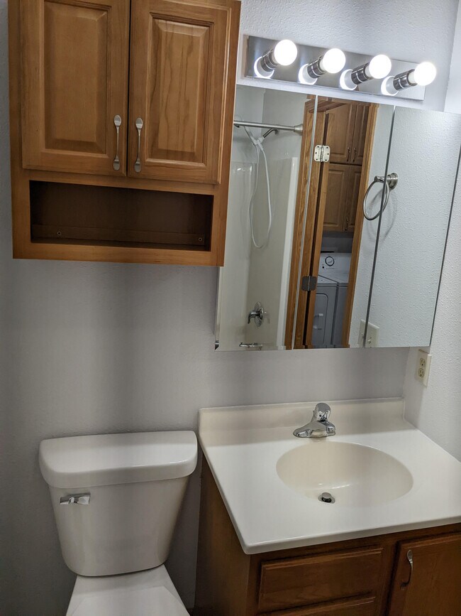 Bathroom Pic 1 - 305 E Lawler Ave