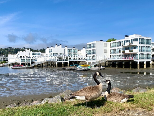 Building Photo - Penthouse Living on the Water, Mill Valley's Best-Kept Secret - Pool- Tennis - FOUNDATION