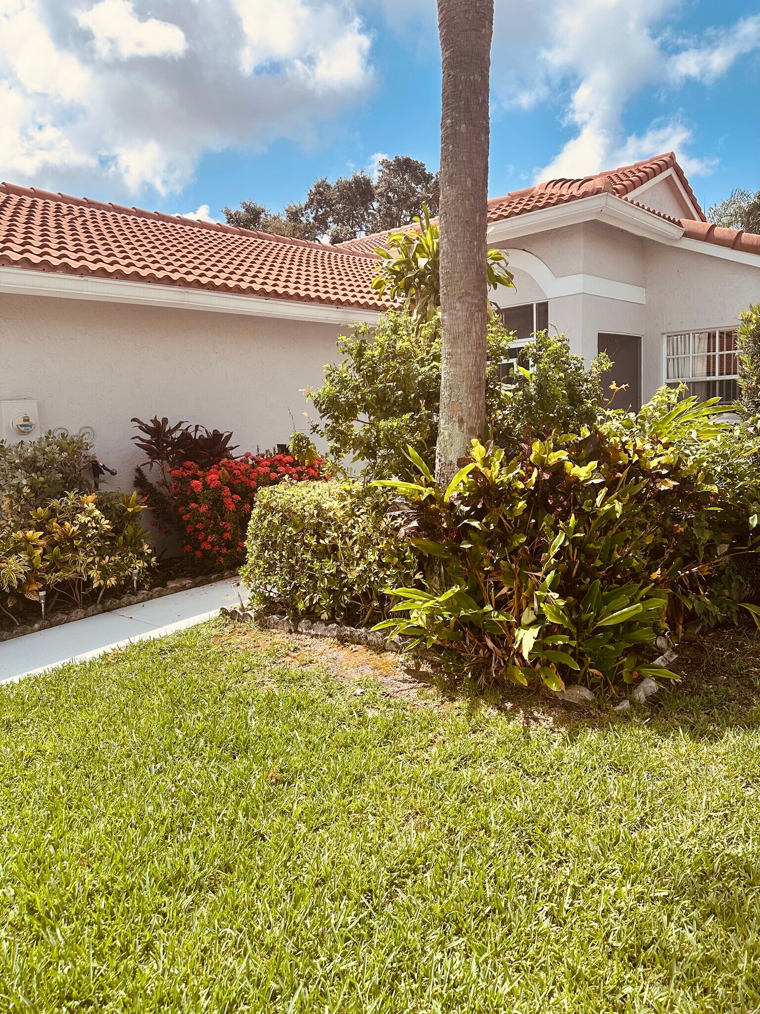 Front with Foliage - 8108 Summer Shores Dr
