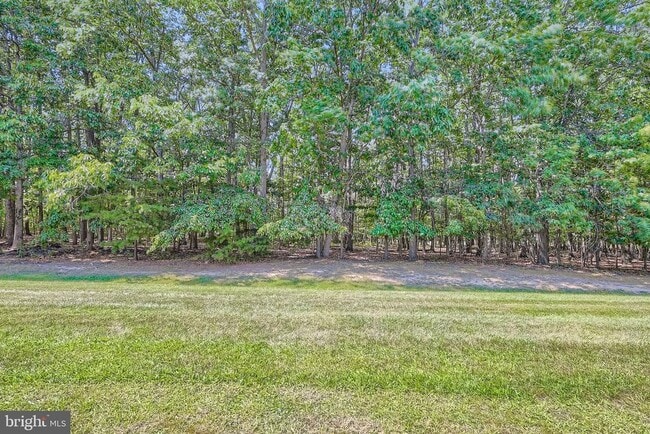 Building Photo - 708 Pine Drift Dr