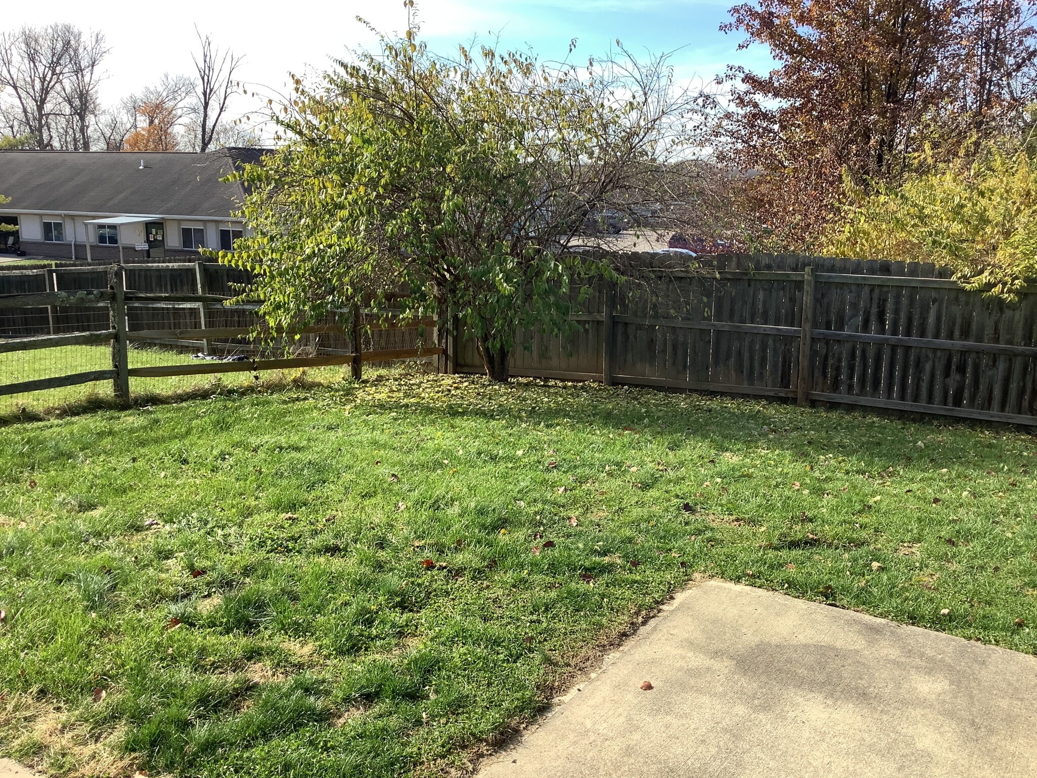 Building Photo - 11789 Holgate Dr