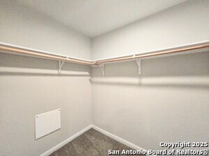 Building Photo - 10302 Legacy Hl