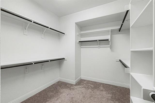 Building Photo - 1700 Rain Lily St