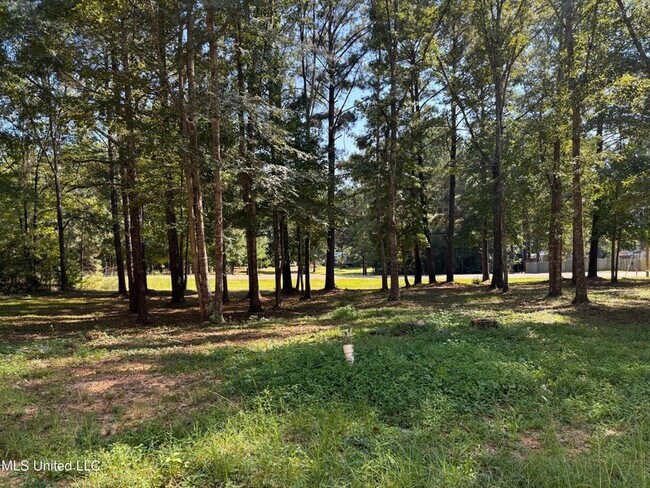 Building Photo - 505 Hillview Ct