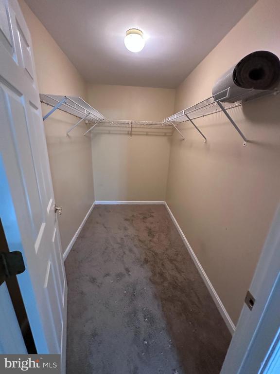 Building Photo - 6504 Home Water Ct