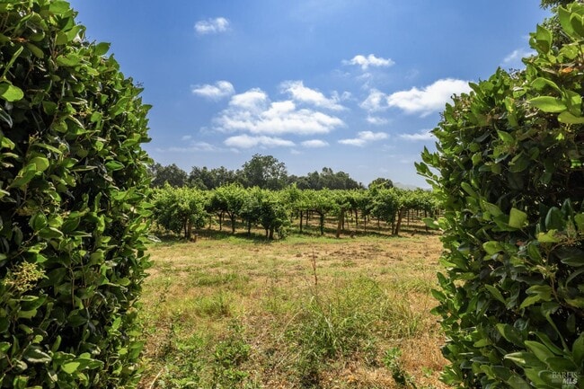 Building Photo - 989 Rutherford Rd