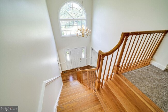 Building Photo - 6207 Woodland Lake Dr