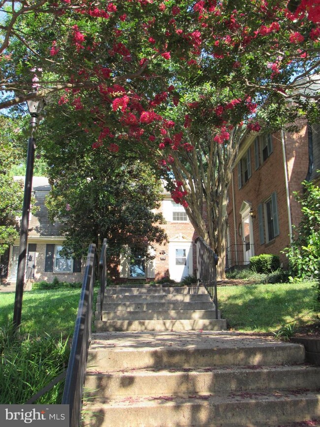 Building Photo - 5906 Westchester Park Dr