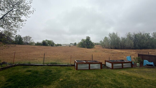 Building Photo - Great Furnished House In Fort Collins