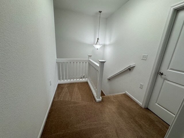 Building Photo - 3937 Trenwith Ln