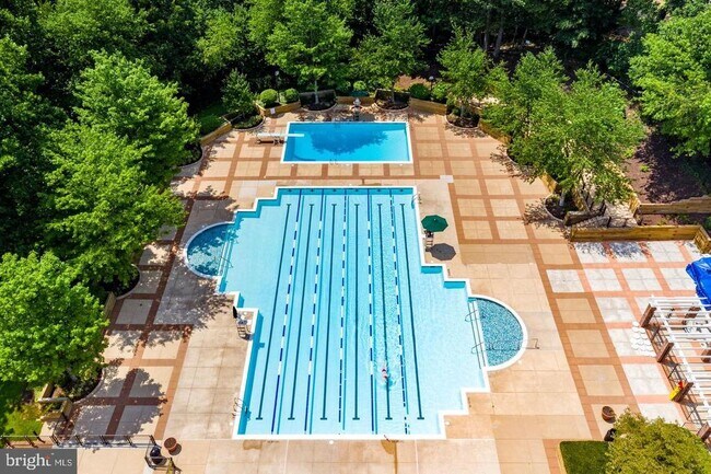 Building Photo - 12109 Green Ledge Ct