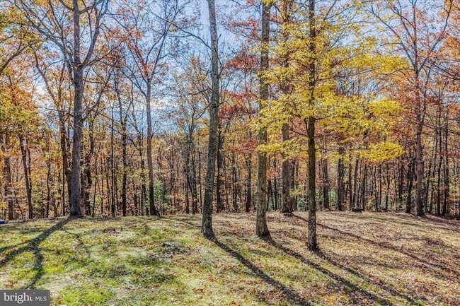 Building Photo - 438 Gloyd Ln